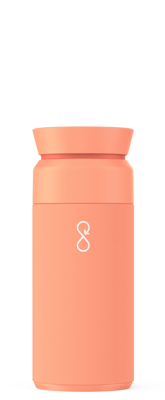 Brew Flask 350ml