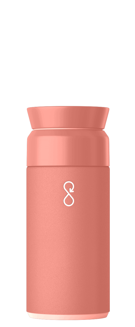 Brew Flask 350ml