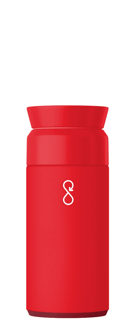 Brew Flask 350ml