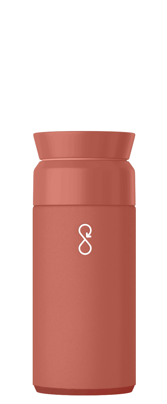 Brew Flask 350ml